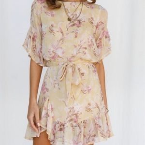 Hello Molly Floral Mini Dress - Cream and Pink